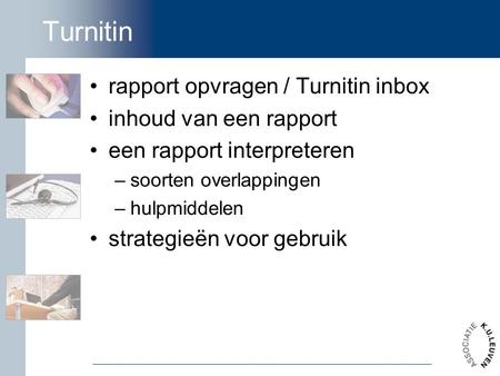 Turnitin rapport opvragen / Turnitin inbox inhoud van een rapport