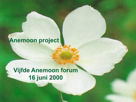 Anemoon project Vijfde Anemoon forum 16 juni 2000.
