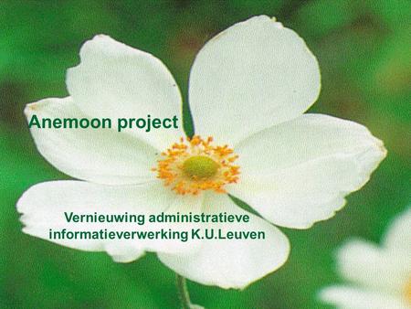 Anemoon project Vernieuwing administratieve informatieverwerking K.U.Leuven.