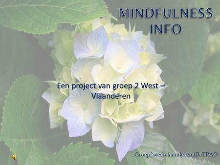 Een project van groep 2 West – Vlaanderen Groep2westvlaanderen 1BaTPAO.