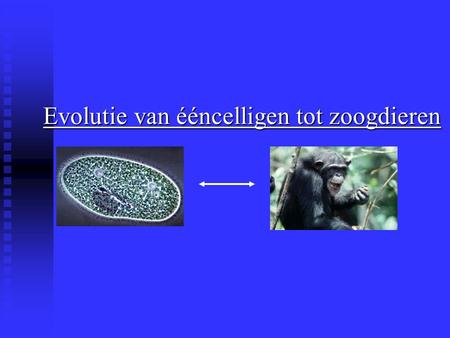 Evolutie van ééncelligen tot zoogdieren