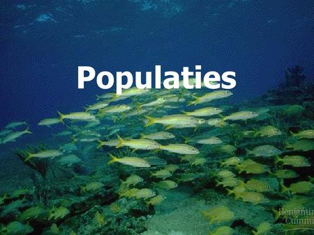 Populaties.