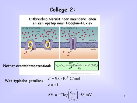 College 2: Uitbreiding Nernst naar meerdere ionen