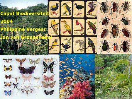 Caput Biodiversiteit 2004 Philippine Vergeer Jan van Groenendael.