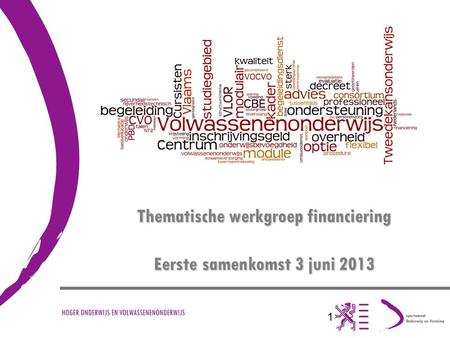 1 Thematische werkgroep financiering Eerste samenkomst 3 juni 2013.