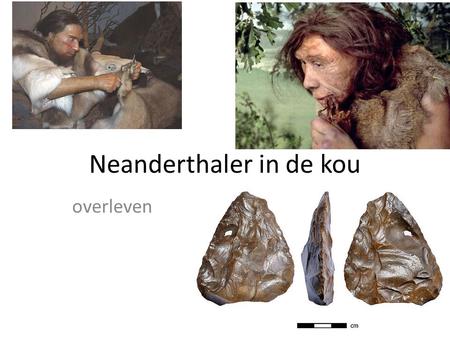 Neanderthaler in de kou