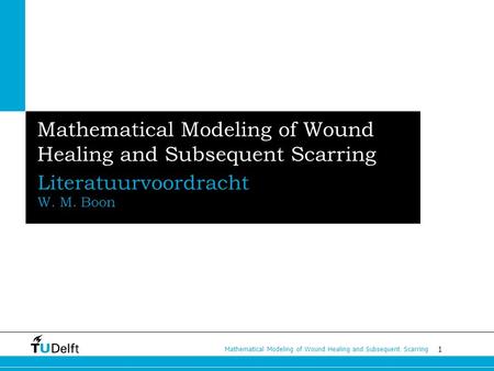 1 Mathematical Modeling of Wound Healing and Subsequent Scarring Literatuurvoordracht W. M. Boon.