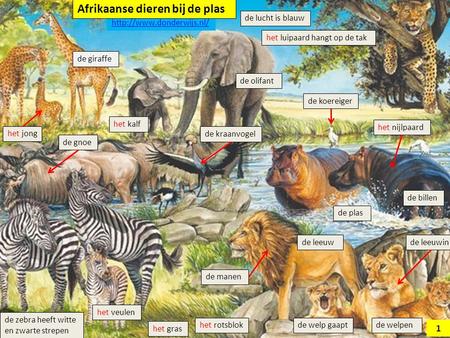 Afrikaanse dieren bij de plas