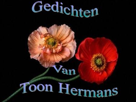 Gedichten Van Toon Hermans.