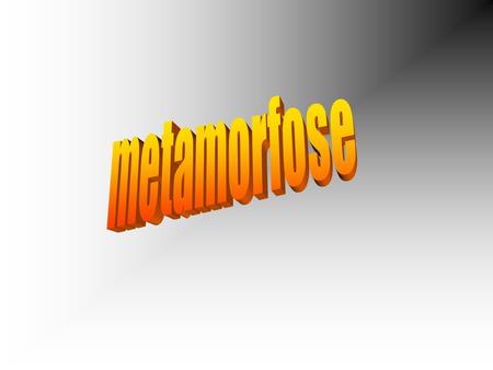 libel eendagsvlieg metamorfose Grieks: meta morphoo trans formeren gedaante verwisseling.