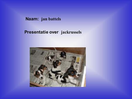 Naam: jan battels Presentatie over jackrussels Klik op “Naam”. Vul je naam in. Doe hetzelfde met “hobby” Hier kun je een foto / tekening Invoegen.
