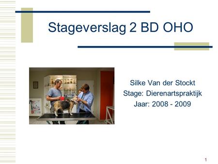 1 Stageverslag 2 BD OHO Silke Van der Stockt Stage: Dierenartspraktijk Jaar: 2008 - 2009.