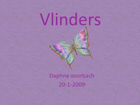 Vlinders Daphne voorbach 20-1-2009.