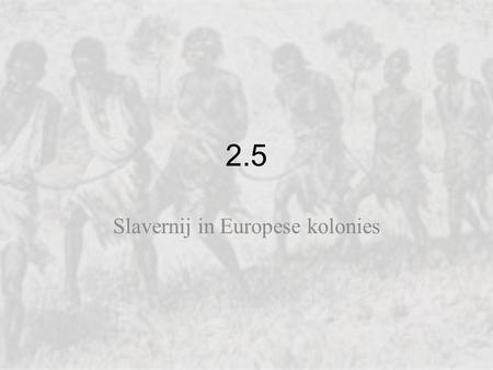 Slavernij in Europese kolonies