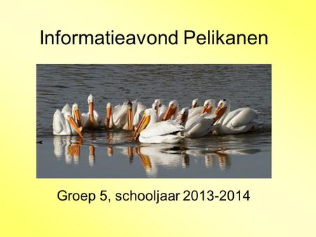 Informatieavond Pelikanen