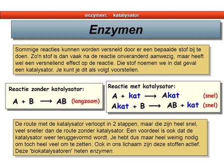 enzymen:    katalysator Enzymen