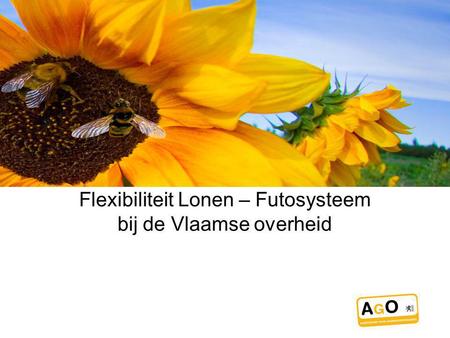 Flexibiliteit Lonen – Futosysteem bij de Vlaamse overheid.