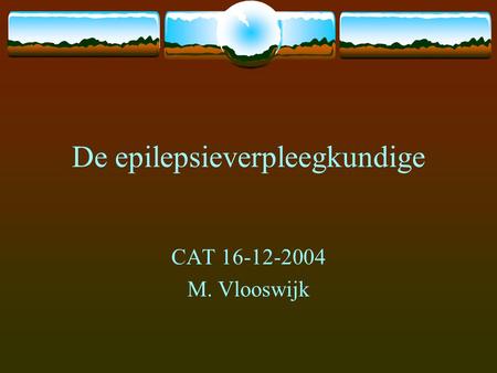 De epilepsieverpleegkundige CAT 16-12-2004 M. Vlooswijk.
