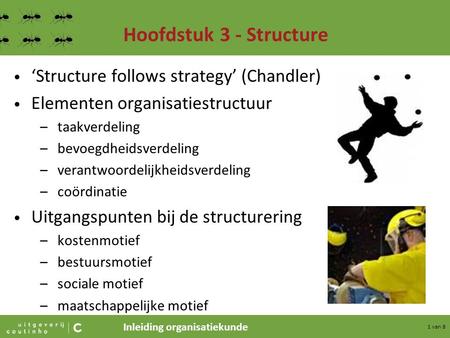 Hoofdstuk 3 - Structure ‘Structure follows strategy’ (Chandler)
