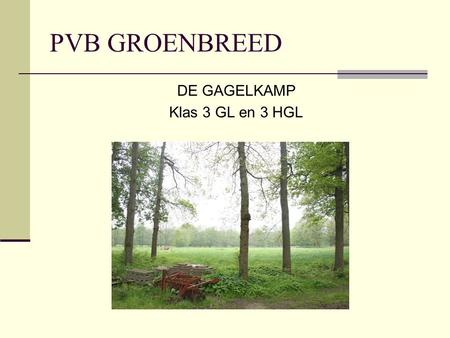PVB GROENBREED DE GAGELKAMP Klas 3 GL en 3 HGL. Voorbeeld PTA.