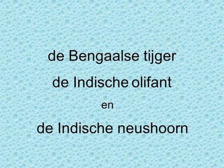 De Bengaalse tijger de Indische olifant en de Indische neushoorn.