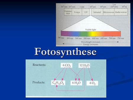 Fotosynthese.