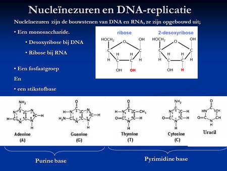 Nucleïnezuren en DNA-replicatie