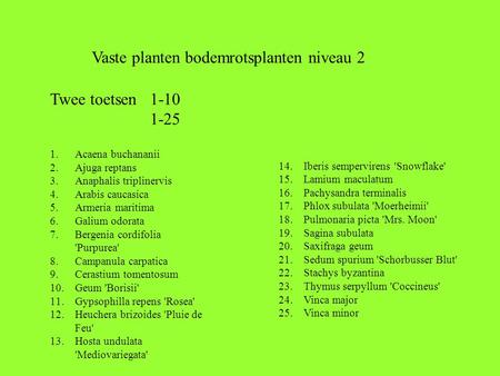 1.Acaena buchananii 2.Ajuga reptans 3.Anaphalis triplinervis 4.Arabis caucasica 5.Armeria maritima 6.Galium odorata 7.Bergenia cordifolia 'Purpurea' 8.Campanula.