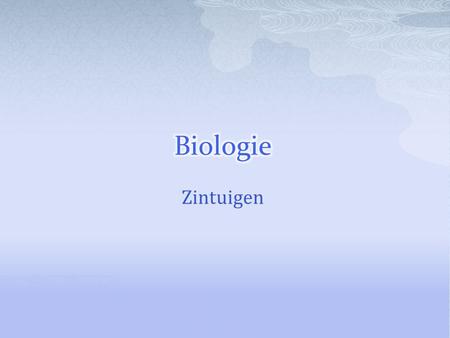 Biologie Zintuigen.