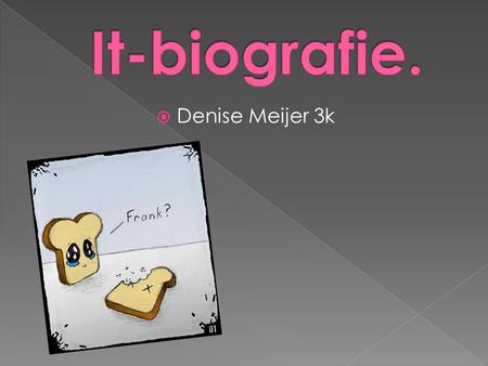 It-biografie. Denise Meijer 3k.