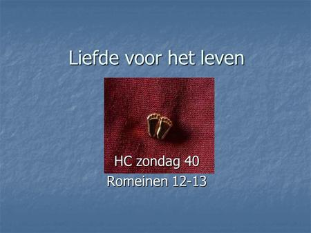 Liefde voor het leven HC zondag 40 Romeinen 12-13.