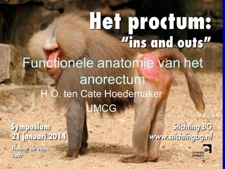 Functionele anatomie van het anorectum