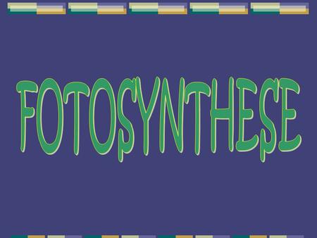 FOTOSYNTHESE.