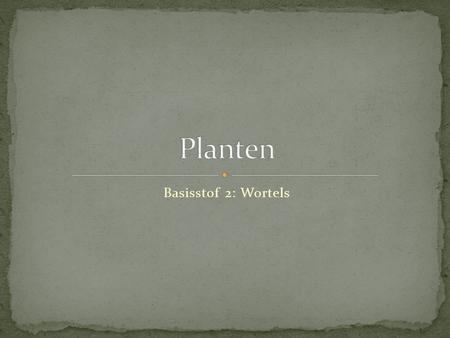 Planten Basisstof 2: Wortels.