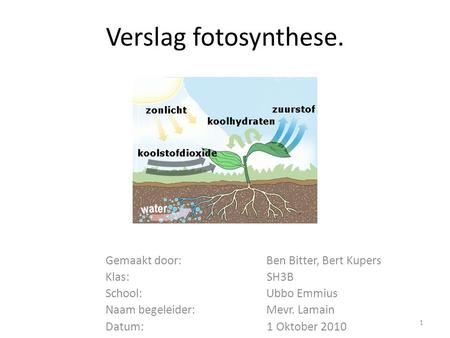 Verslag fotosynthese. Gemaakt door: Ben Bitter, Bert Kupers Klas: SH3B
