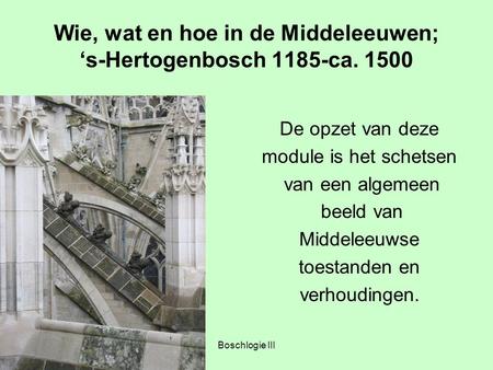 Wie, wat en hoe in de Middeleeuwen; ‘s-Hertogenbosch 1185-ca. 1500