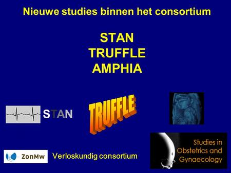 Nieuwe studies binnen het consortium STAN TRUFFLE AMPHIA