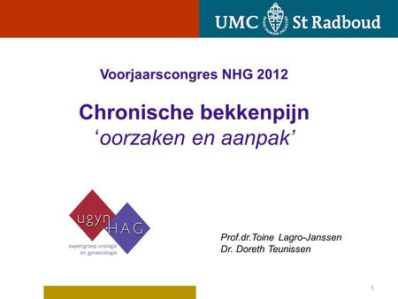 Voorjaarscongres NHG 2012 Chronische bekkenpijn ‘oorzaken en aanpak’