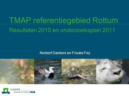 TMAP referentiegebied Rottum Resultaten 2010 en onderzoeksplan 2011 Norbert Dankers en Frouke Fey.