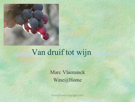 Marc Vlaeminck Wine@Home Van druif tot wijn Marc Vlaeminck Wine@Home Wine@Home Copyright 2003.