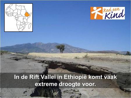 In de Rift Vallei in Ethiopië komt vaak extreme droogte voor.