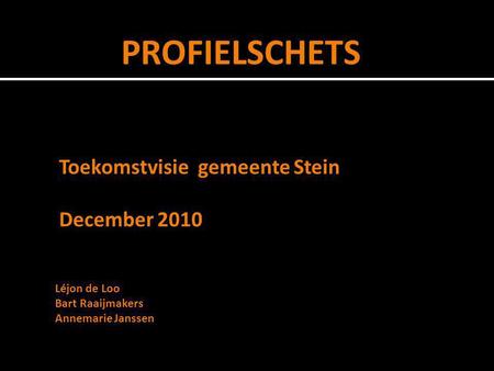 PROFIELSCHETS Toekomstvisie gemeente Stein December 2010 Léjon de Loo
