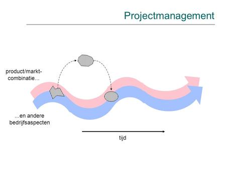 Projectmanagement product/markt- combinatie en andere