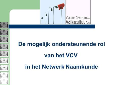 De mogelijk ondersteunende rol van het VCV in het Netwerk Naamkunde.