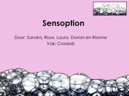 Sensoption Door: Sandra, Roos, Laura, Dorian en Rianne Vak: Crosslab.