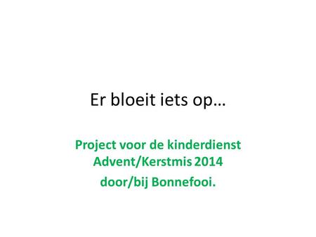 Project voor de kinderdienst Advent/Kerstmis 2014 door/bij Bonnefooi.
