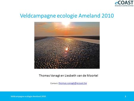 1Veldcampagne ecologie Ameland 2010 Thomas Vanagt en Liesbeth van de Moortel Contact: