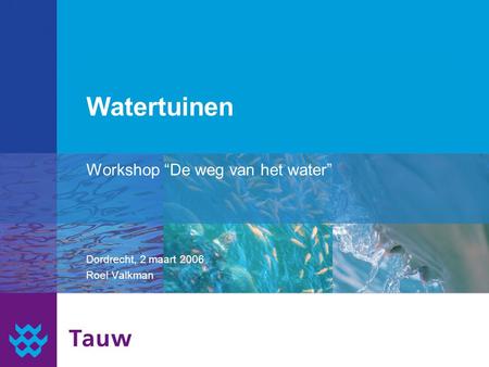 Watertuinen Workshop “De weg van het water” Dordrecht, 2 maart 2006 Roel Valkman.
