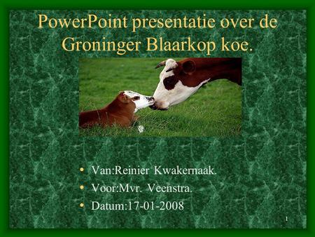 PowerPoint presentatie over de Groninger Blaarkop koe.