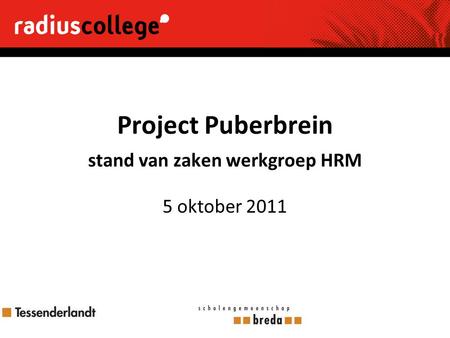 Project Puberbrein stand van zaken werkgroep HRM